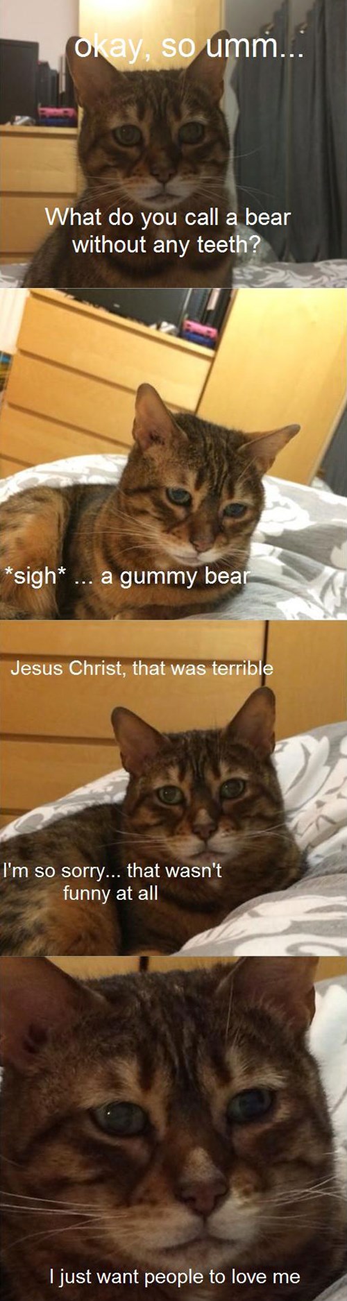 Maybe it Was the Delivery... Nope - Lolcats - lol | cat memes | funny ...