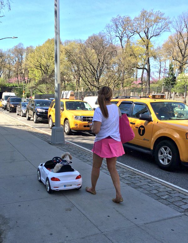 remote control cars for dogs