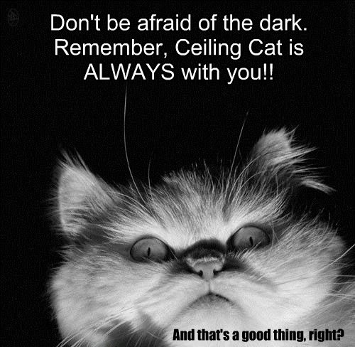 Lolcats - spooky - LOL at Funny Cat Memes - Funny cat pictures with ...