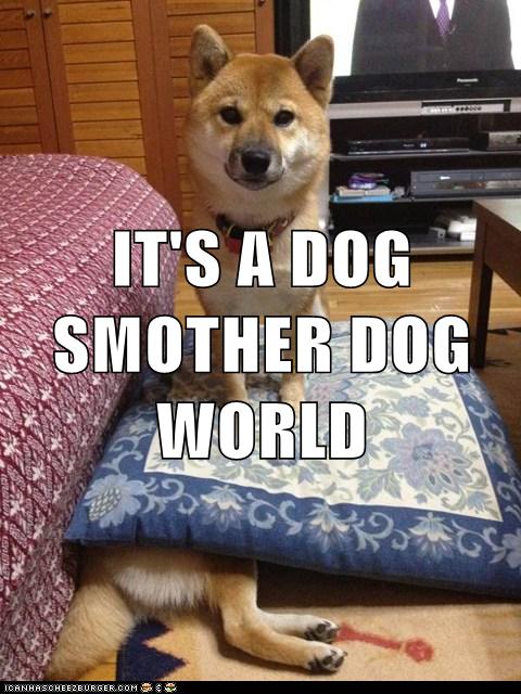 I Has A Hotdog - dog eat dog - Funny Dog Pictures | Dog Memes | Puppy