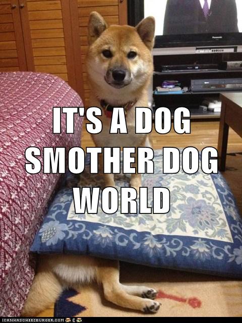 I Has A Hotdog - dog eat dog - Funny Dog Pictures | Dog Memes | Puppy Pictures