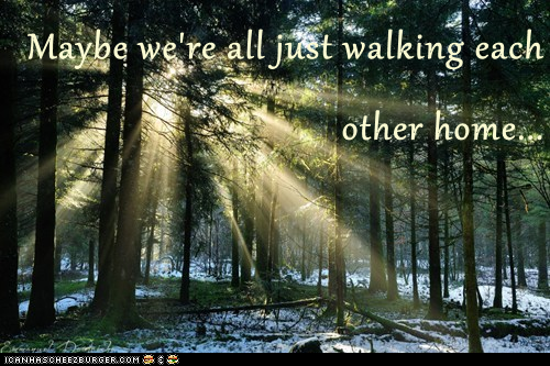 dating sites just like pof