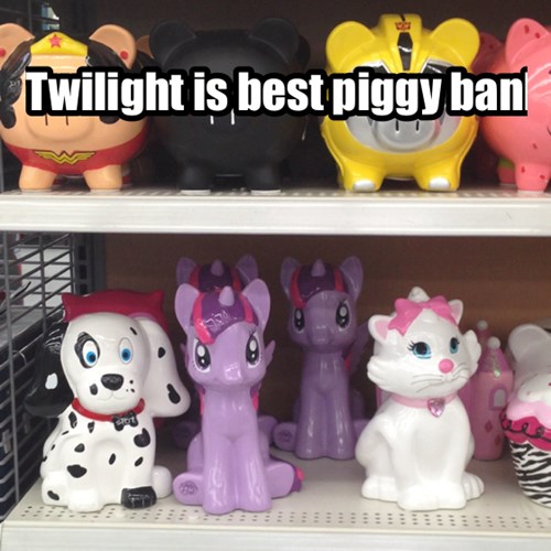 This Princess Is Also a Treasurer My Little Brony my little pony