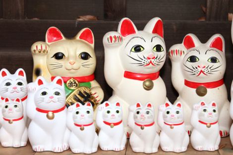 japanese smiling cat