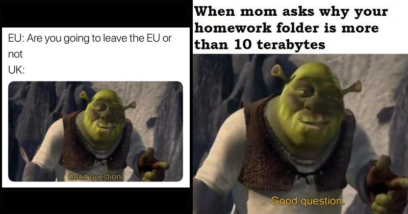 Shrek Question Meme