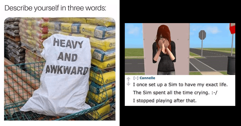 Memebase - The Sims - All Your Memes In Our Base - Funny Memes