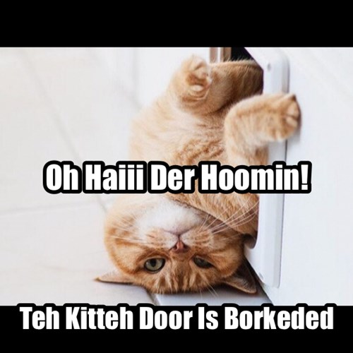 Yep Dats Totally Wot Happened Lolcats Lol Cat Memes Funny