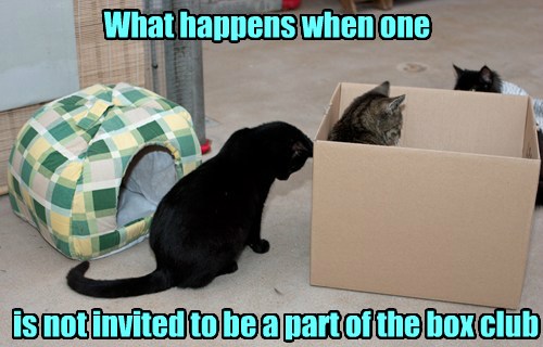Ousted - Lolcats - lol | cat memes | funny cats | funny ...