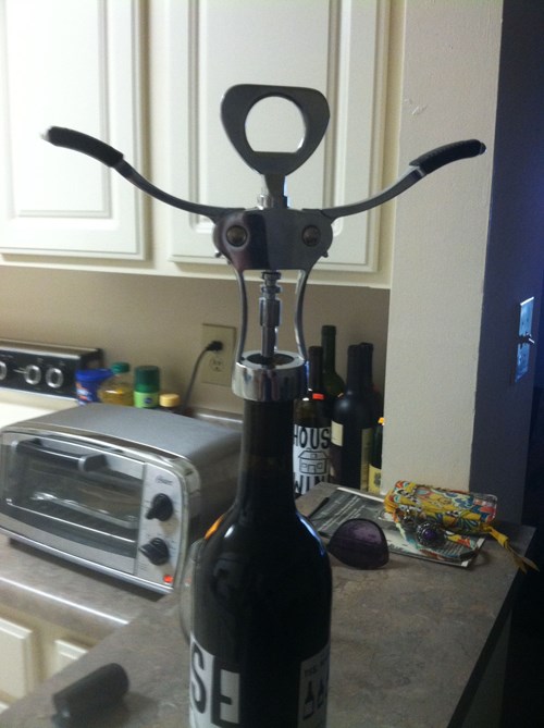 One Excited Wine Opener After 12 funny pictures, party fails, party