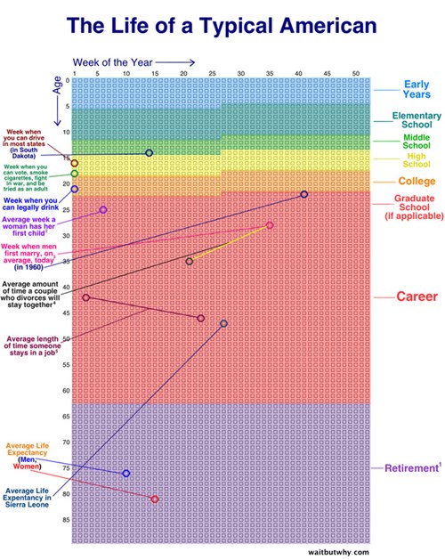 Chart of the Day A Chart That Measures a Human's Life in Weeks The