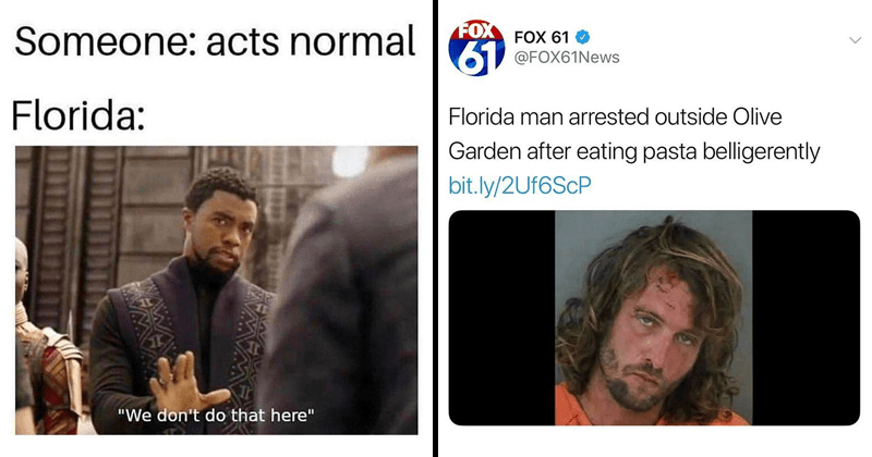 Memebase - florida man headlines - All Your Memes In Our ...