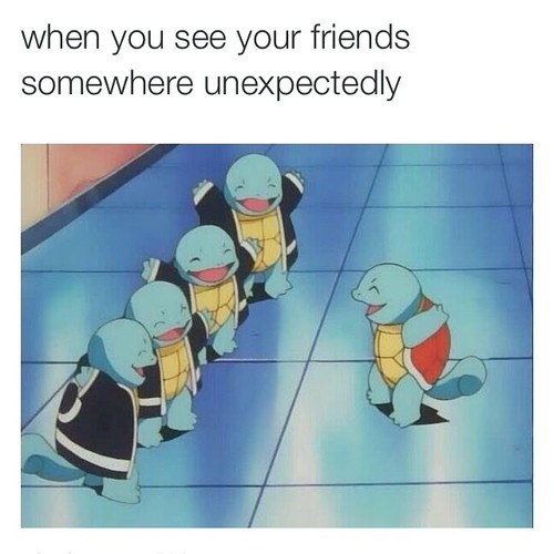 Pokémemes - squirtle squad - Pokemon Memes - Pokémon, Pokémon GO