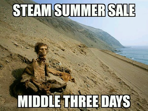Memebase Steam Summer Sales All Your Memes In Our Base Funny Memes Cheezburger