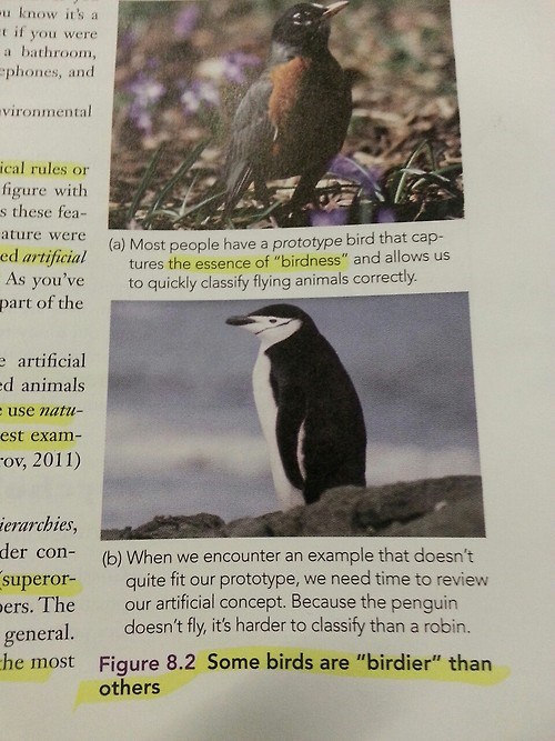 Homework helper science classifying birds 04 image