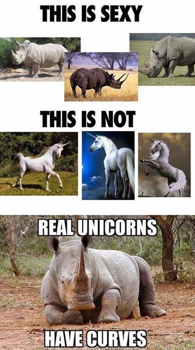 Beautiful Unicorn Pictures Real