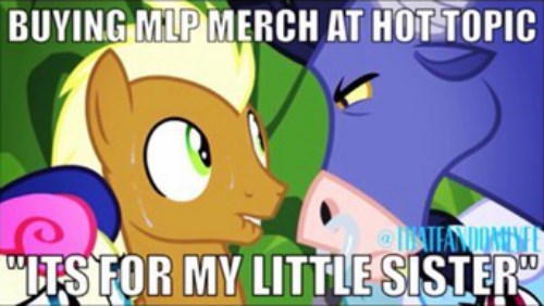 The Struggle Is Real - My Little Brony - My Little Pony, Friendship Is 