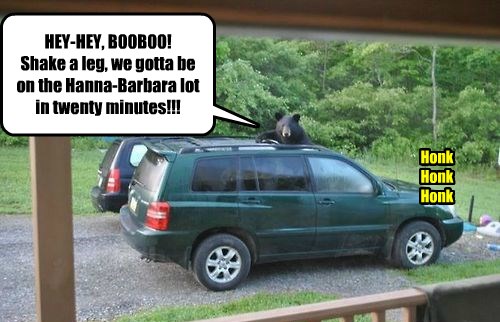 I Can Has Cheezburger? - yogi bear - Funny Animals Online - Cheezburger