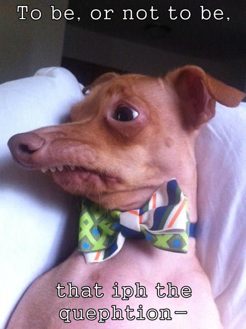 Jbifrost Rat For Android