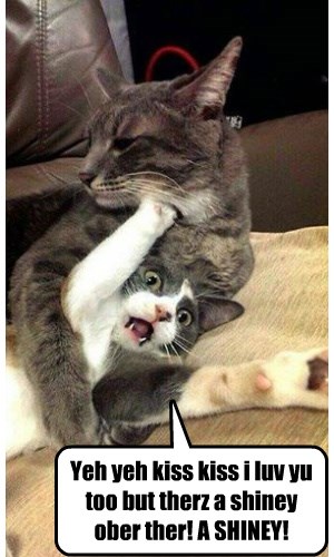 Shiny Trumps Kiss Kisses! - Lolcats - lol | cat memes | funny cats