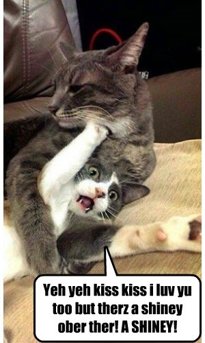 Shiny Trumps Kiss Kisses! - Lolcats - lol | cat memes | funny cats | funny cat