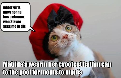 cat in a shower cap