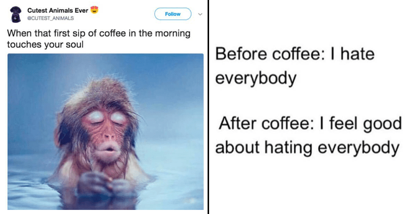 19 Coffee Memes That'll Caffeinate Your Tired Soul - Memebase - Funny Memes