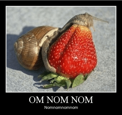 Very Demotivational - snail - Very Demotivational Posters - Start Your