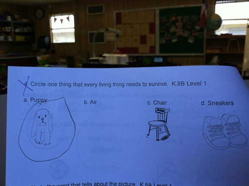 Epic homework fails 04 image