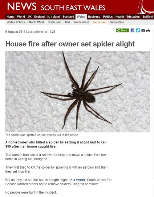 There's Got to be an Easier Way to Take Care of These Spiders FAIL