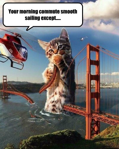 Just a Giant Cat Eating a Bridge...No Big Deal - Lolcats - lol | cat ...