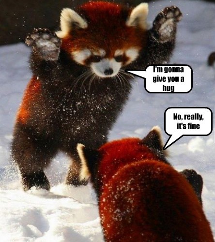 Red Panda Hug Brigade - Animal Comedy - Animal Comedy, funny animals