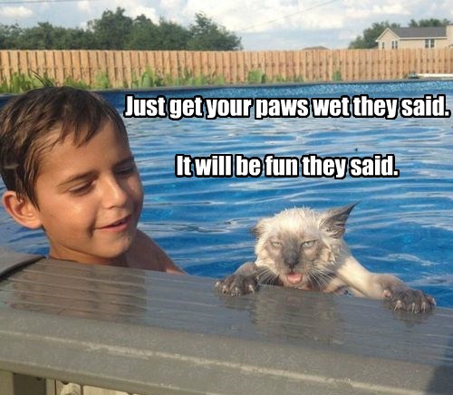 Don T Even Look At Me Kid Lolcats Lol Cat Memes Funny Cats Funny Cat Pictures With Words On Them Funny Pictures Lol Cat Memes Lol Cats