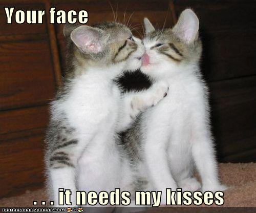 Your Face . . . It Needs My Kisses - Lolcats - Lol 