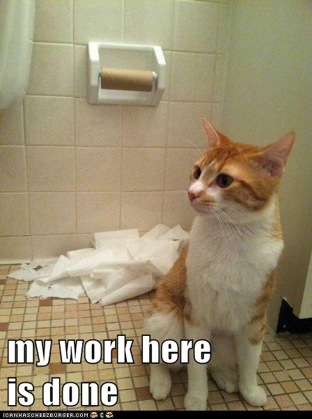 It's a Dirty Job - Lolcats - lol | cat memes | funny cats ...