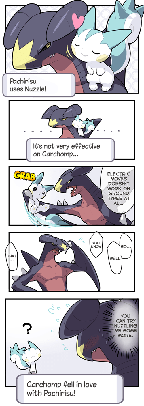 garchomp shodo