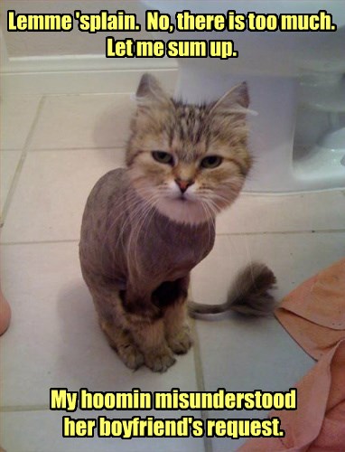 Yes *sigh*, she's blond. - Lolcats - lol | cat memes | funny cats ...