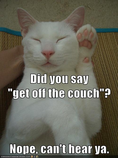 Did You Say Get Off The Couch Nope Can T Hear Ya Lolcats
