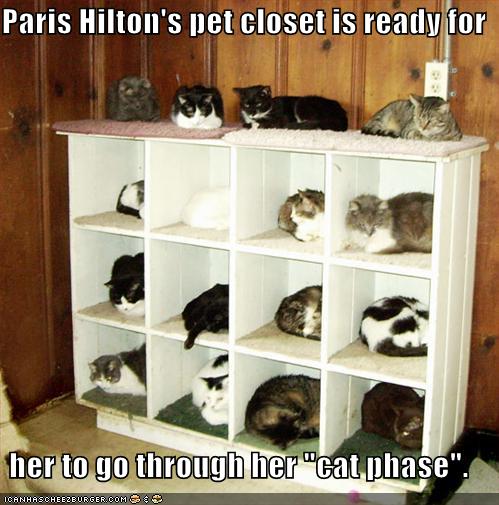 Paris Hilton S Pet Closet Is Ready For Her To Go Through Her Cat