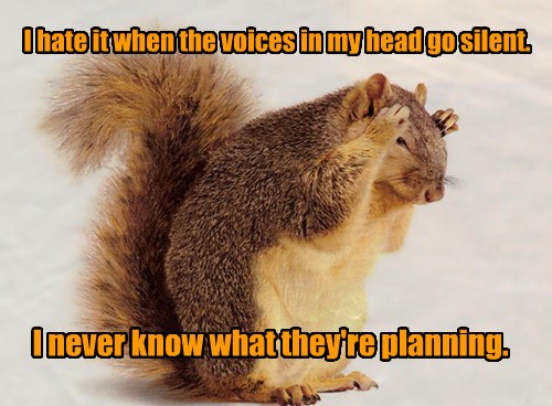 Are You Sure Your Acorns Are Safe? - Animal Comedy - Animal Comedy ...