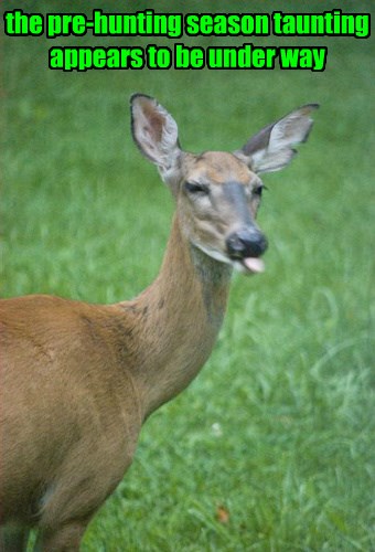 You Ever Hear of a Grocery Store Big Man?!?!?! - Animal Comedy - Animal ...