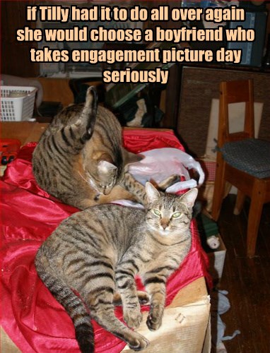 It May Not Be Too Late - Lolcats - Lol 