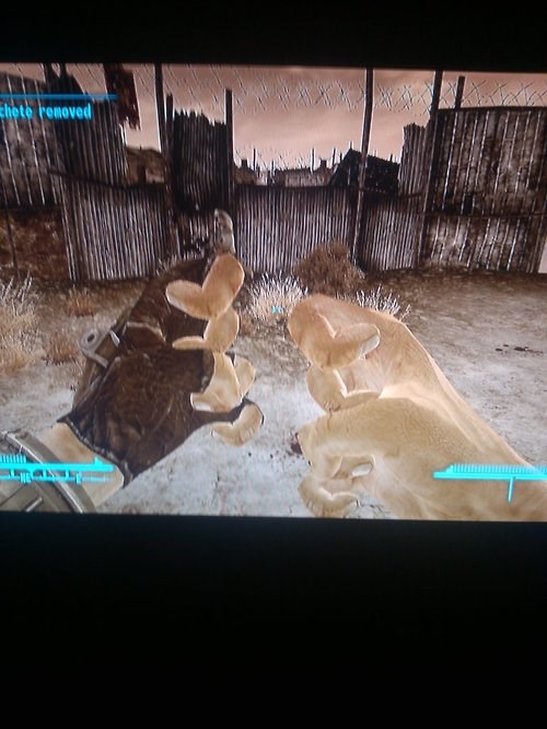 Arthritis Sets In... Video Games video game memes, Pokémon GO