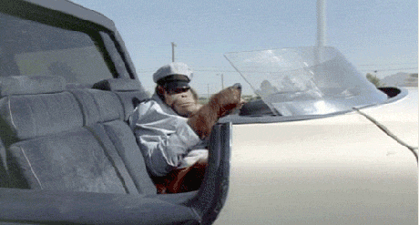 why-are-you-mad-youre-an-orangutan-driving-a-cool-car