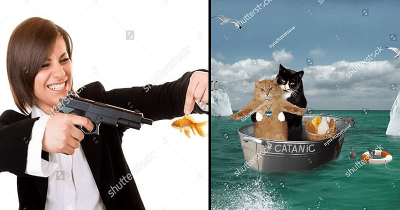 Weird Shutterstock Photos