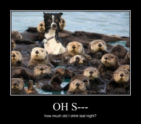 Sometimes You Just Want to Party With Otters - Very Demotivational