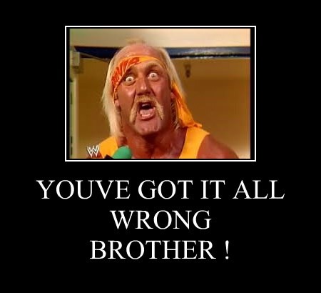 If Hulk Hogans Says So, It's True - Very Demotivational ...