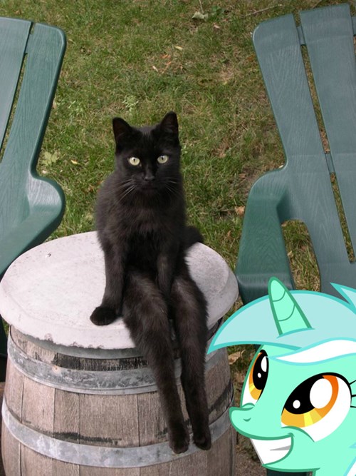 Featured image of post Lyra Heartstrings Sitting