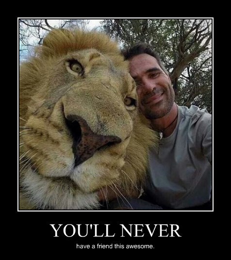 How Do You Get a Lion Buddy? - Very Demotivational - Demotivational