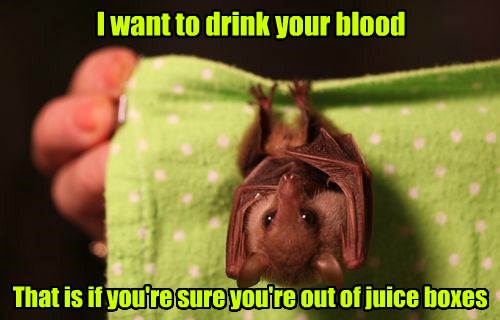 Vampire Fruit Bat - Animal Comedy - Animal Comedy, Funny Animals 