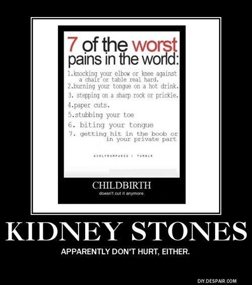 Very Demotivational Kidney Stones Very Demotivational Posters Start Your Day Wrong Demotivational Posters Very Demotivational Funny Pictures Funny Posters Funny Meme Cheezburger